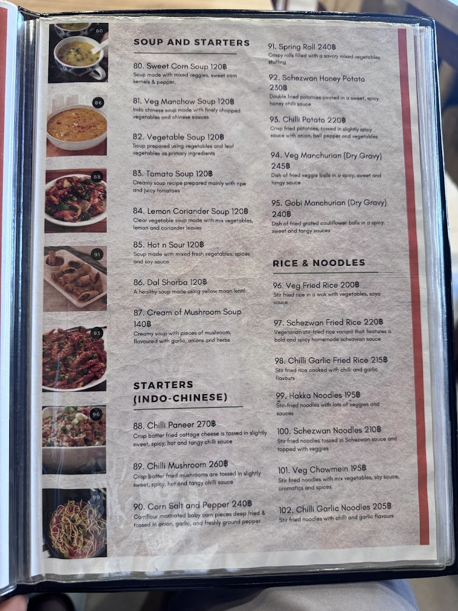 Guru Kripa-Pure Vegetarian Indian Restaurant Photo Menu 8