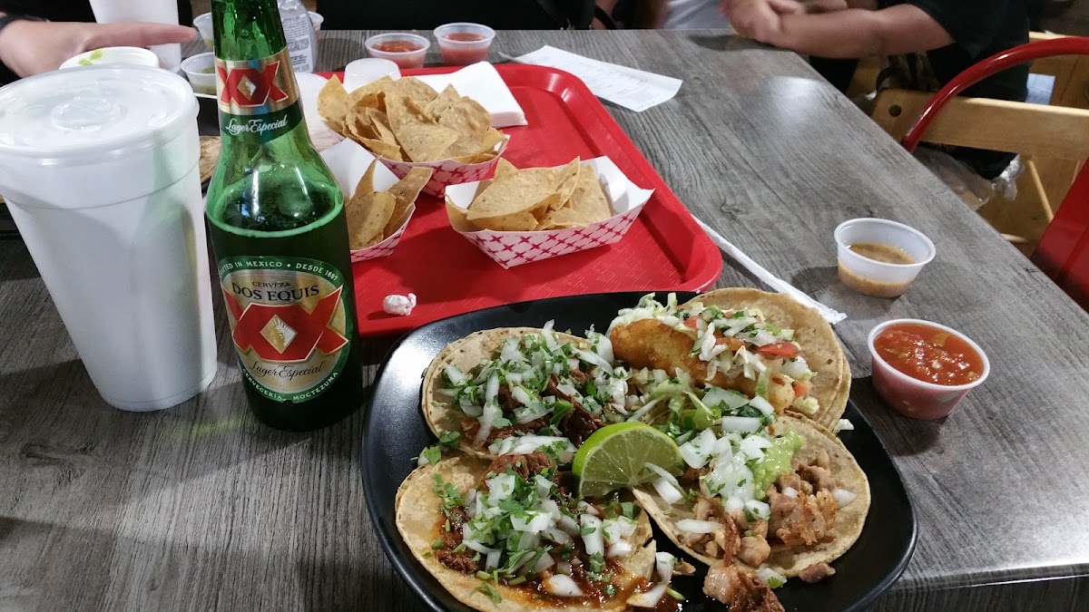 Palmitos Mexican Eatery Photo 9