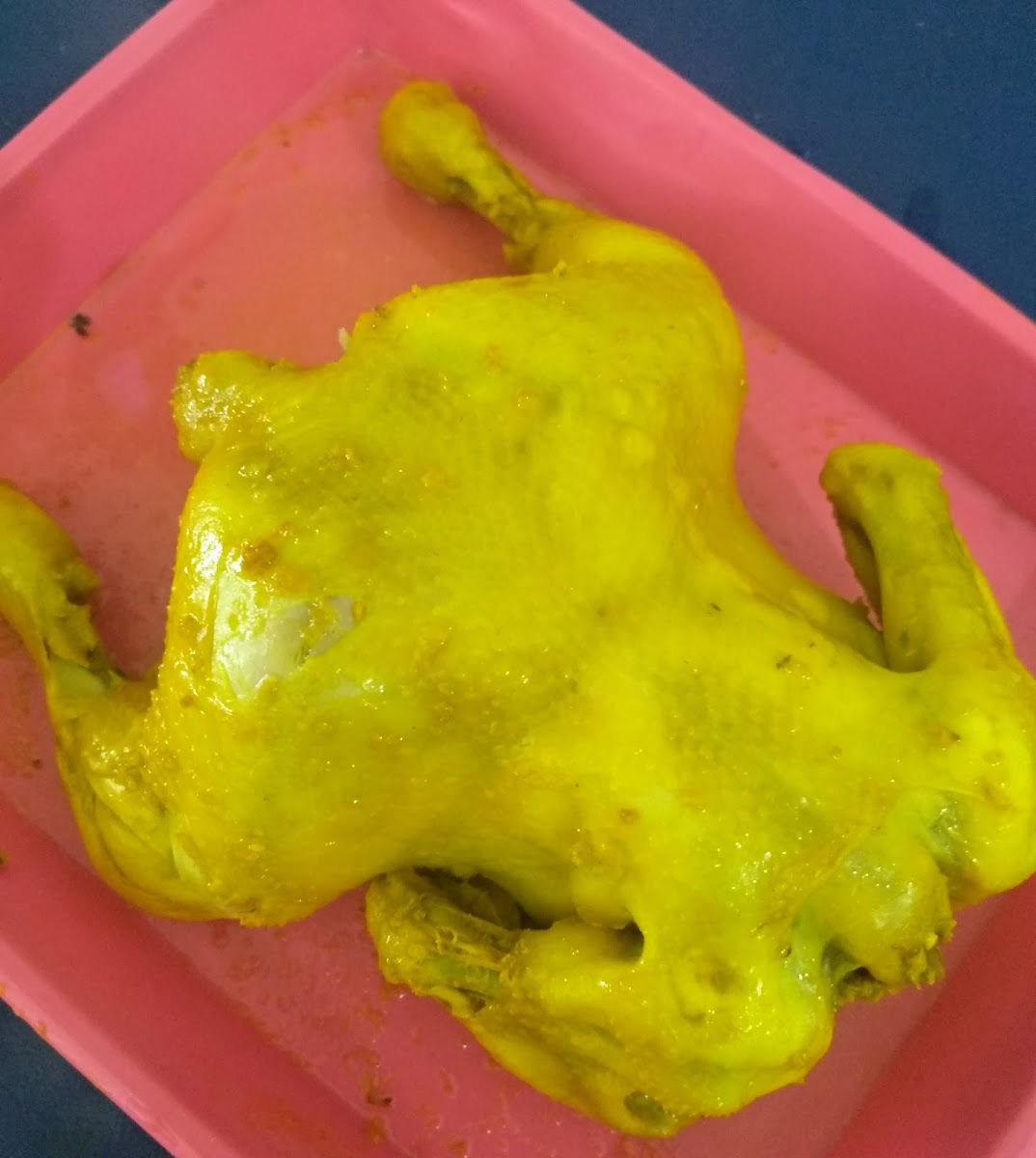 Nafisha bandeng presto ayam dan bebek Photo 4