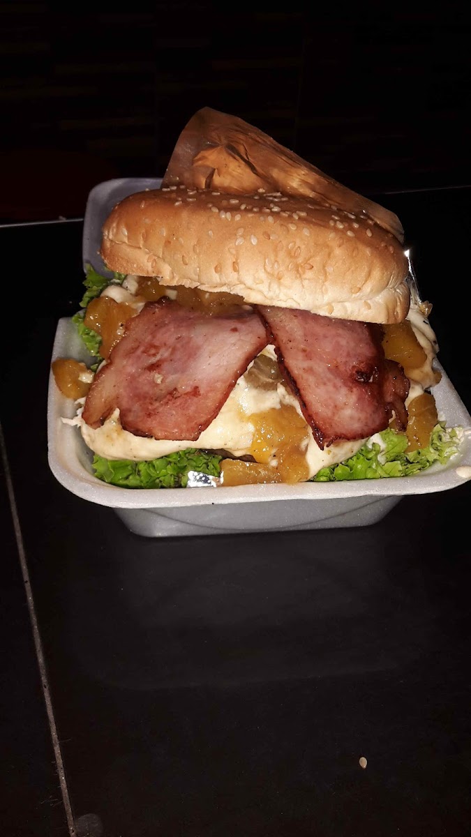Megadog comidas Rápidas Photo 4