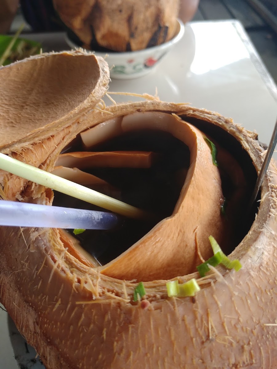 Kelapa Muda Bakar Warung Bungsu Photo 5