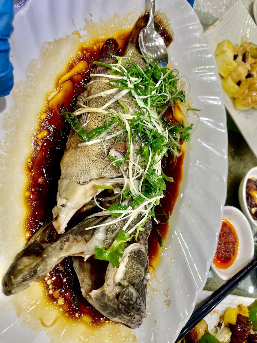 Majesty Seafood Restaurant (Jordon Branch) Photo 9