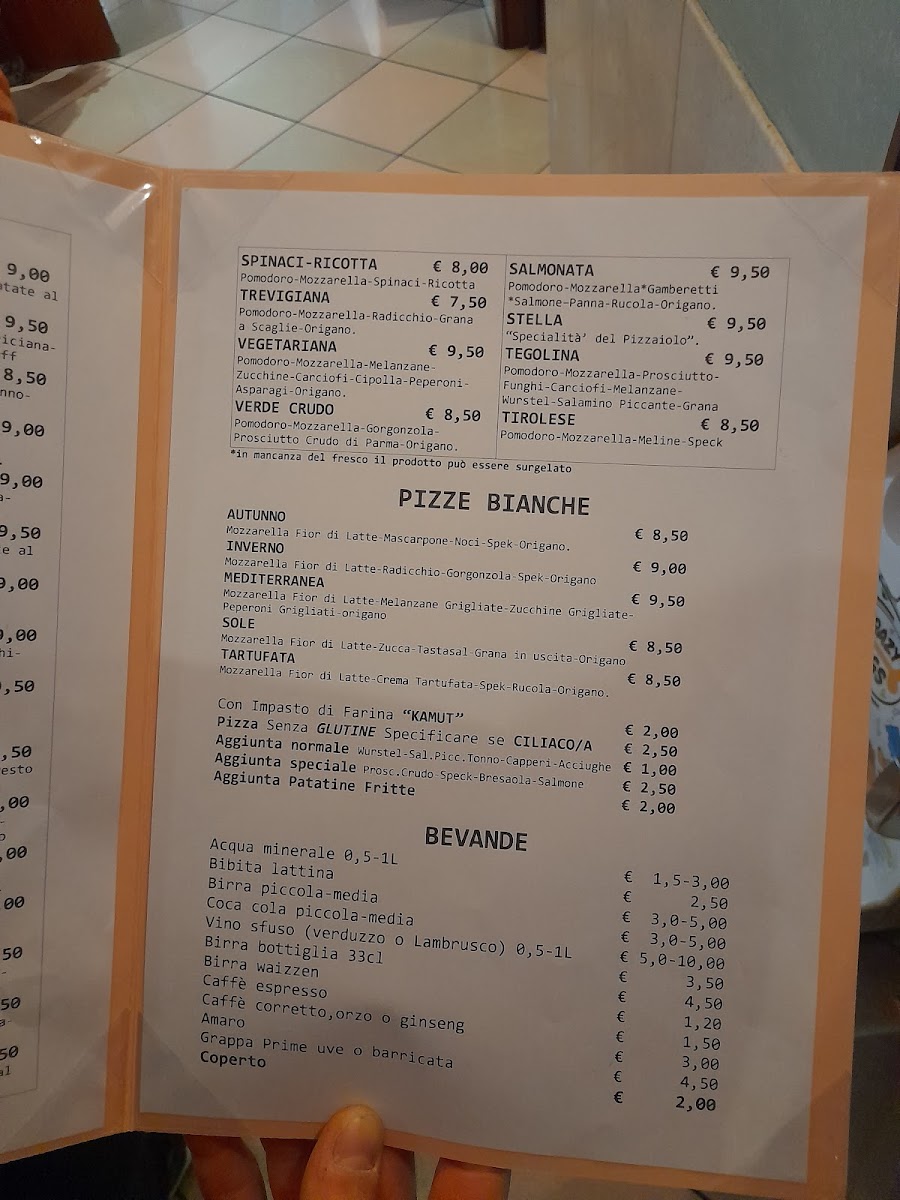 Pizzeria Trattoria Stella Photo Menu 2