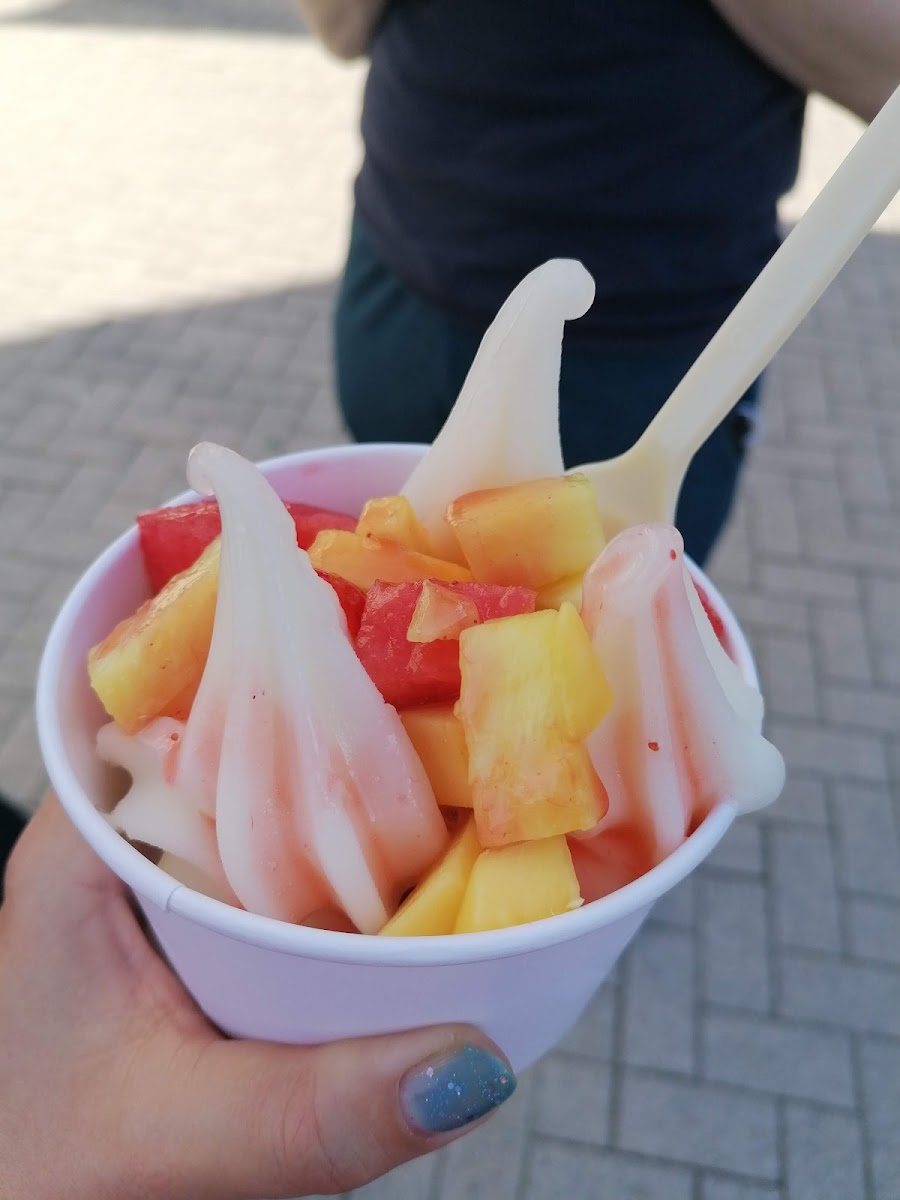 Freezie Photo 8