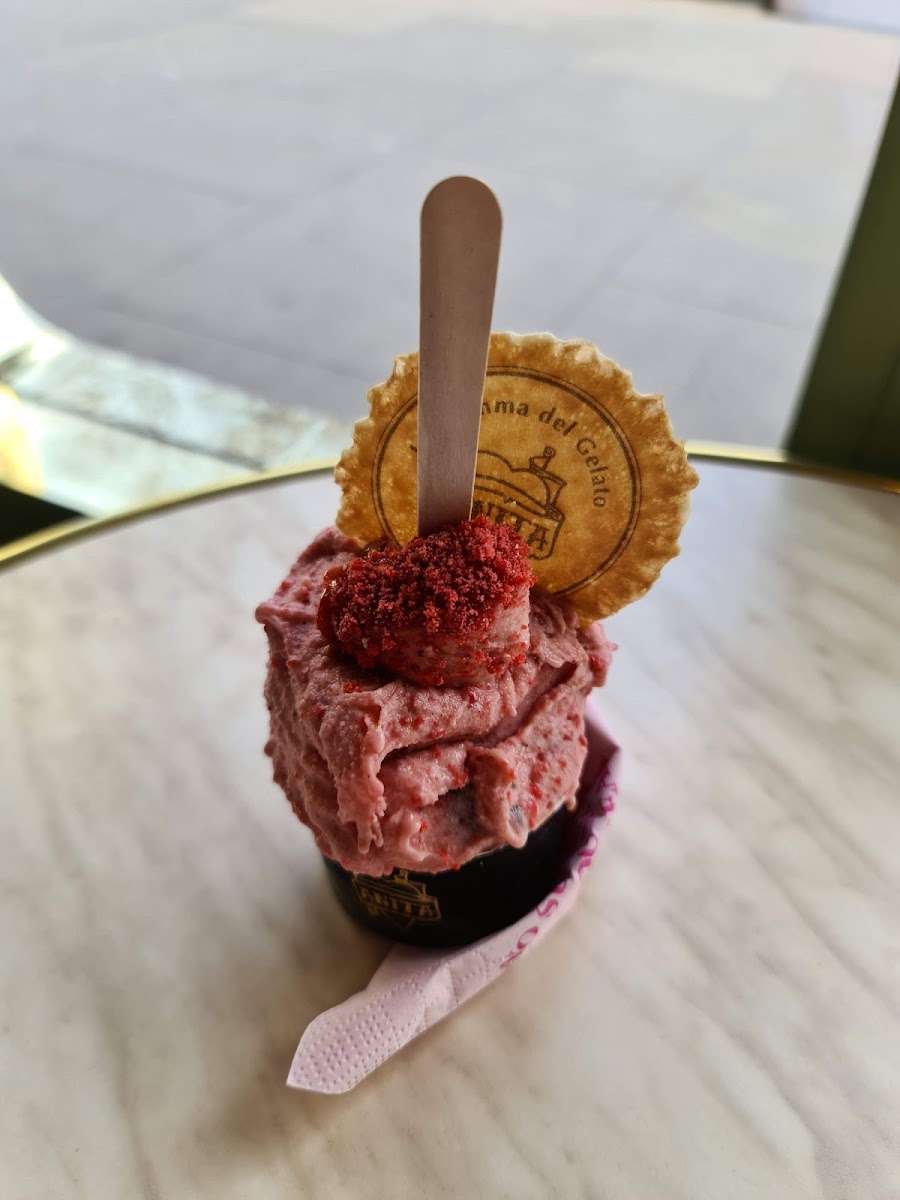 ANITA GELATO Photo 9