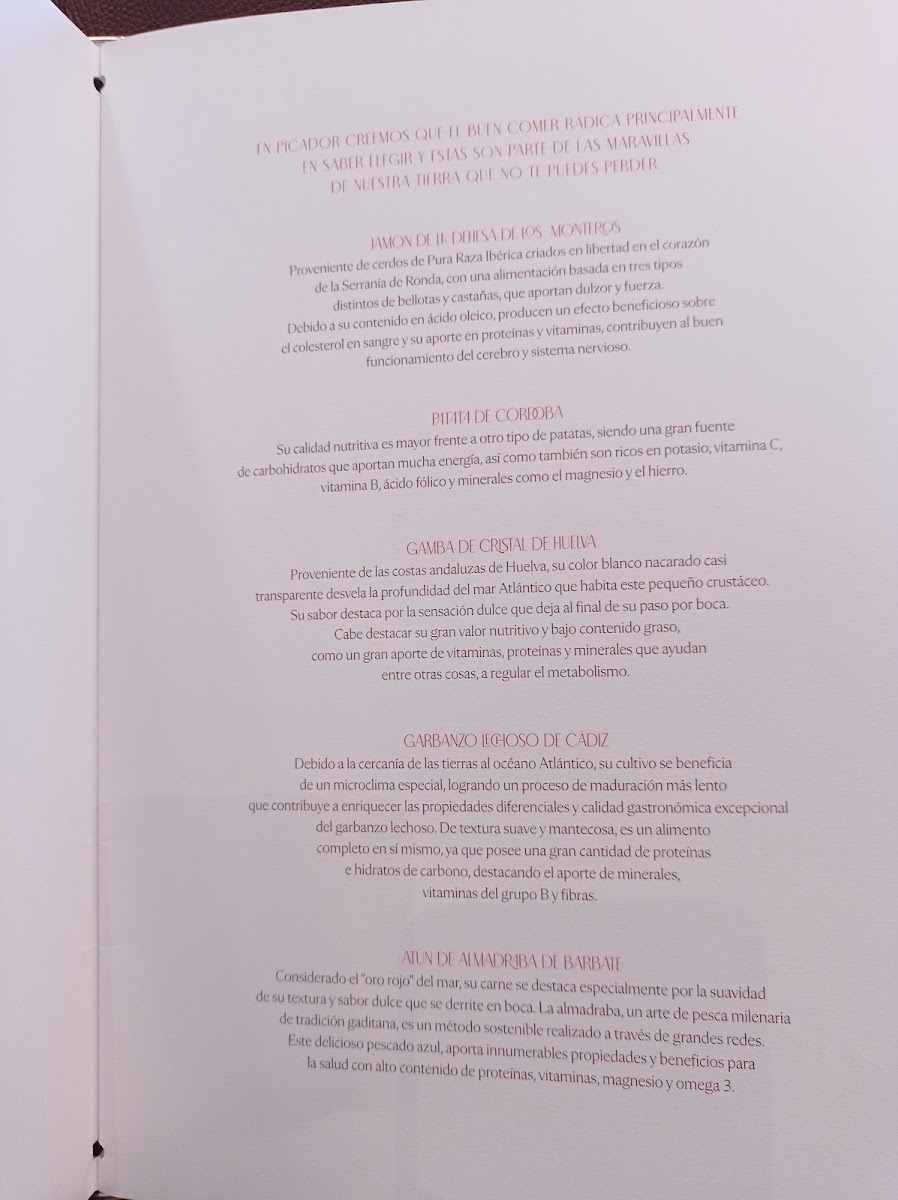 Restaurante Picador Photo Menu 9