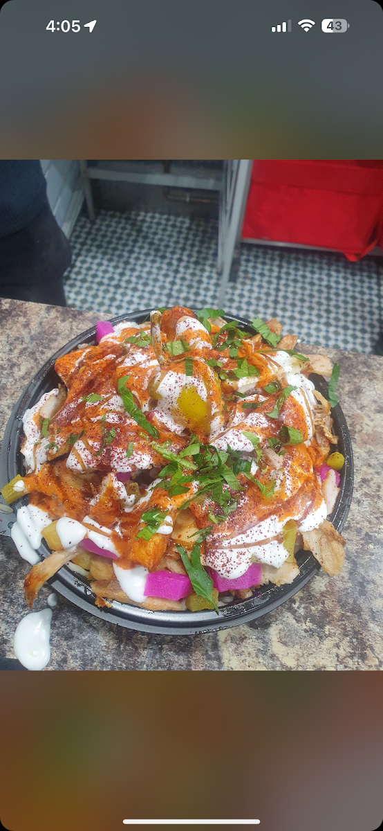 Hajar’s Shawarma King Photo 7