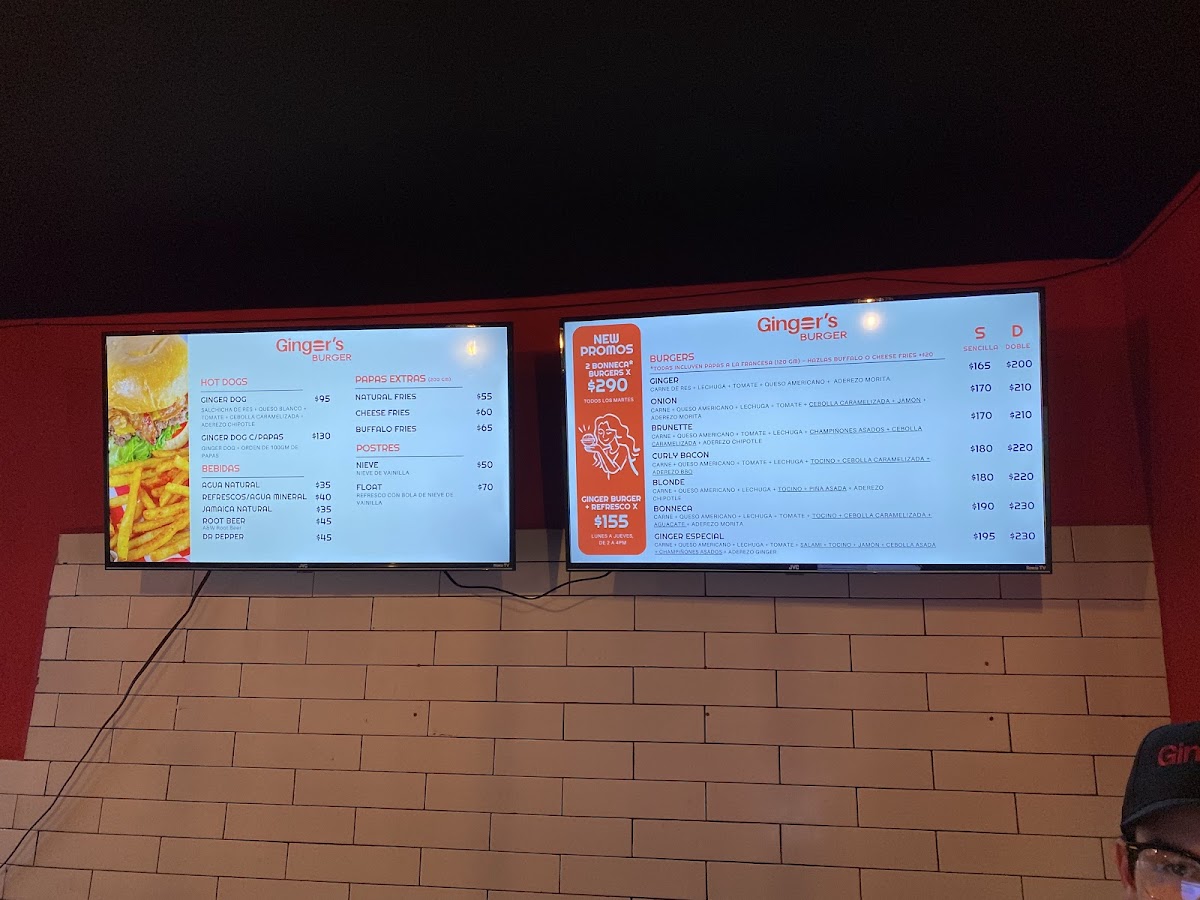 Ginger's Burger Photo Menu 9