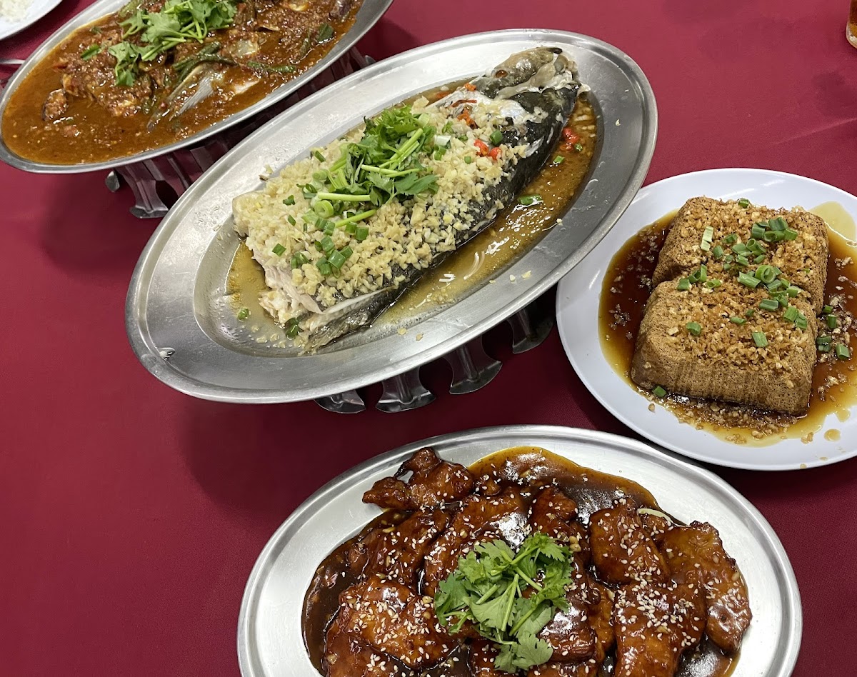 Restoran Hoe Mun Kee PJ Steamed Fish Head Photo 4