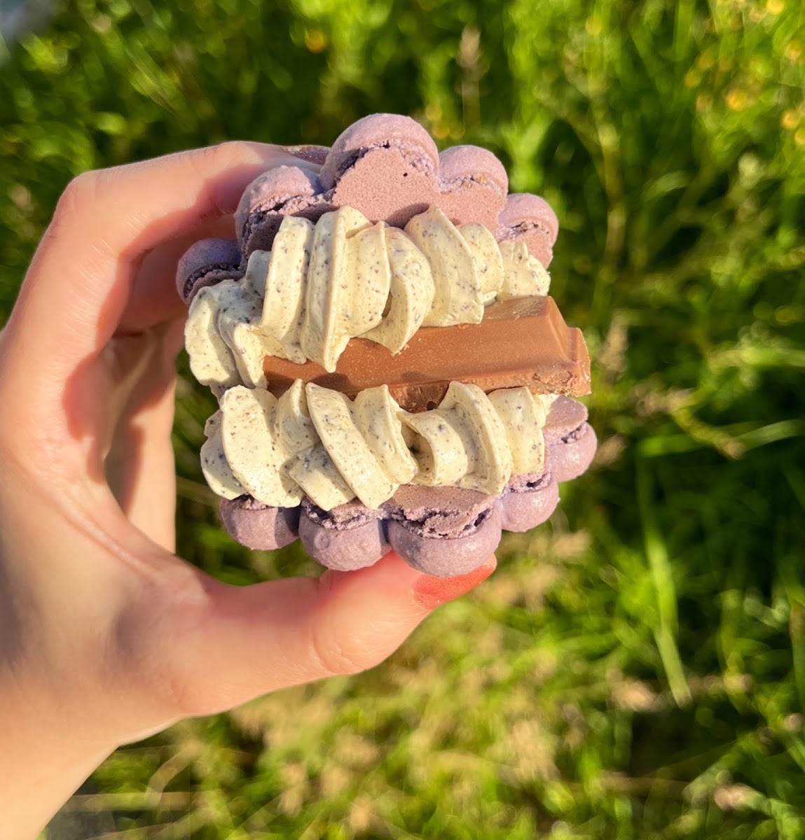 Le Macaron and Desserts Photo 7