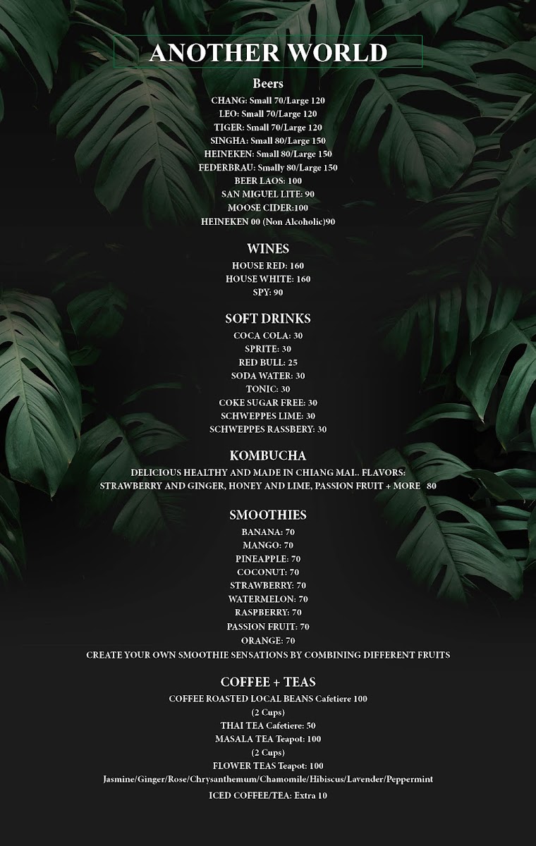 Another World Photo Menu 6