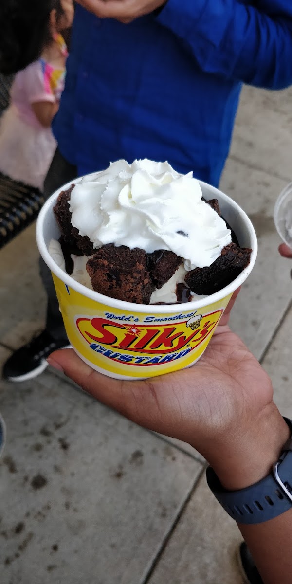 Silky's Frozen Custard Photo 9