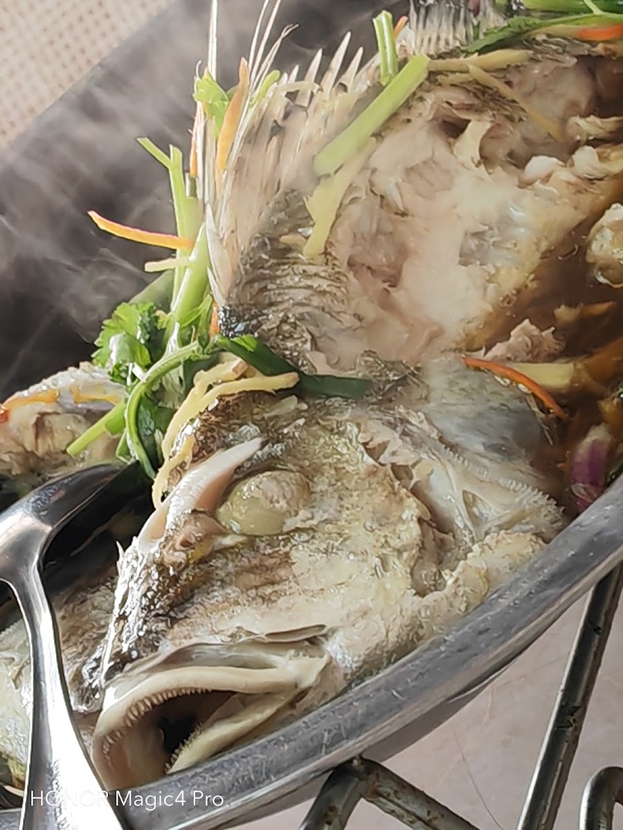 Tien Tien Lai Restaurant Photo 6