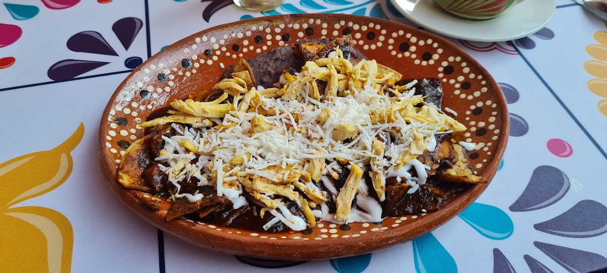 El Comal De Villa Photo 10