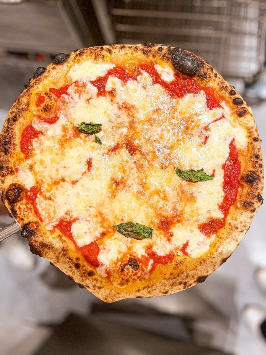 Più Bella Pizza & Gelato Photo 6