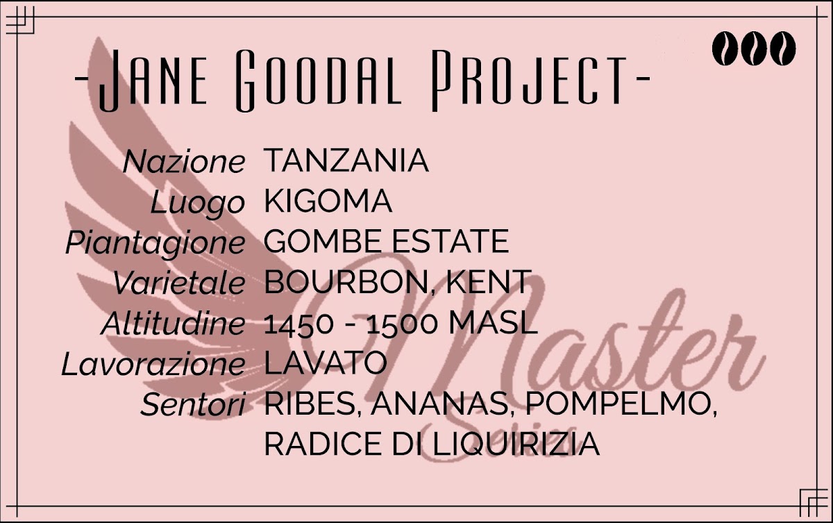 Big Bang Coffee Roastery Photo Menu 2