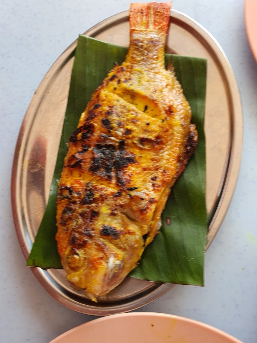 Restoran Ikan Bakar Ocu Amy Photo 7
