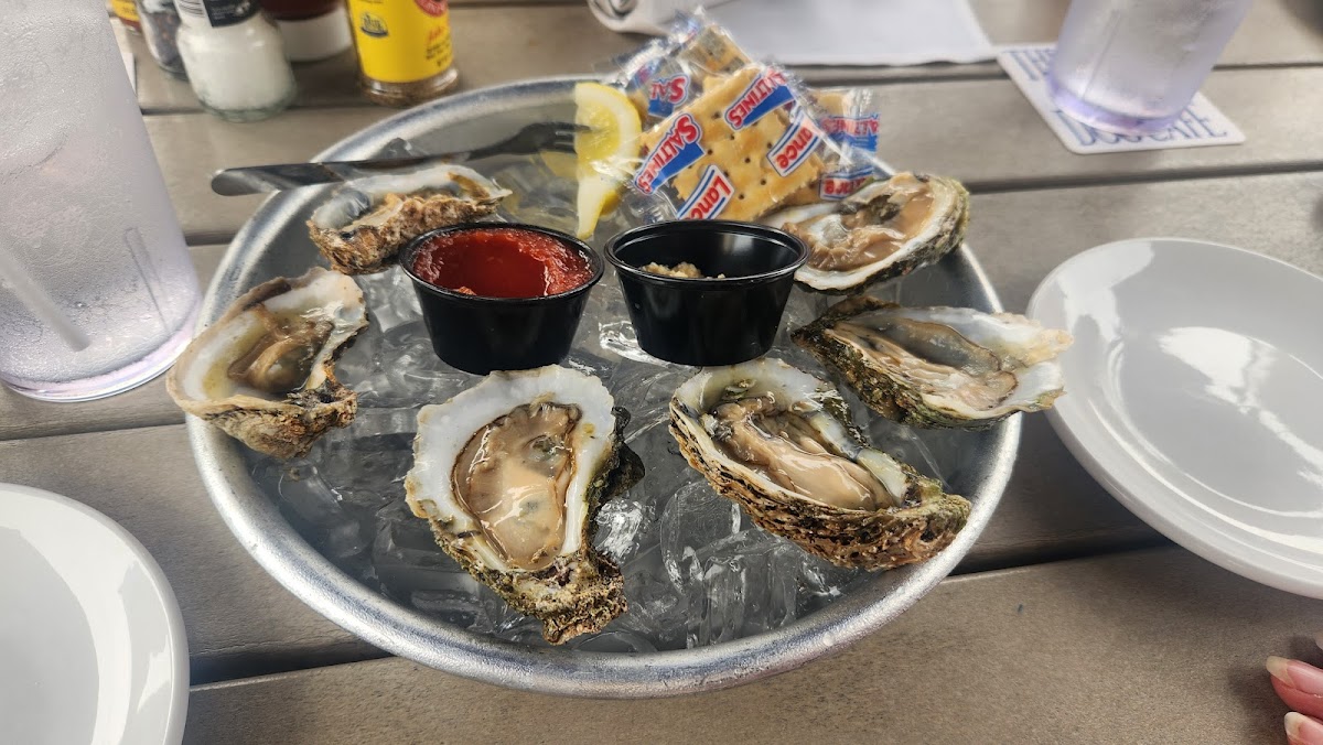 Salty Dog Cafe Seabrook Photo 10