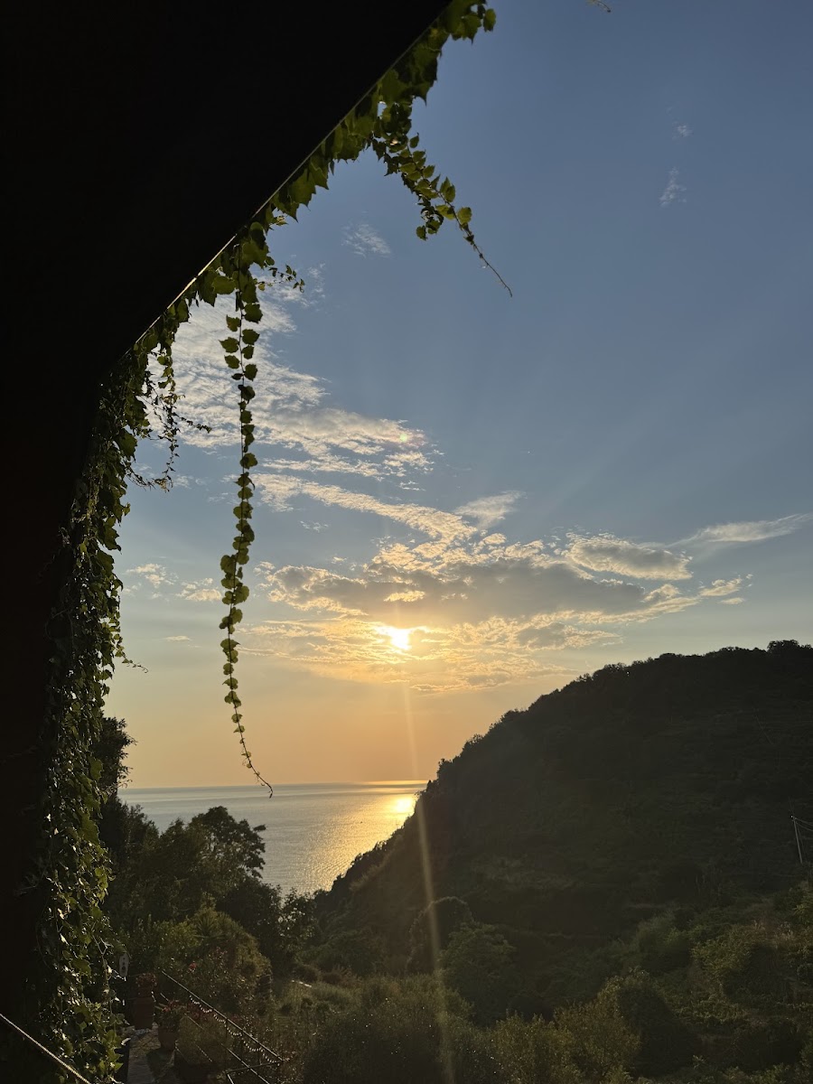 Food And Sea Trattoria Photo 3