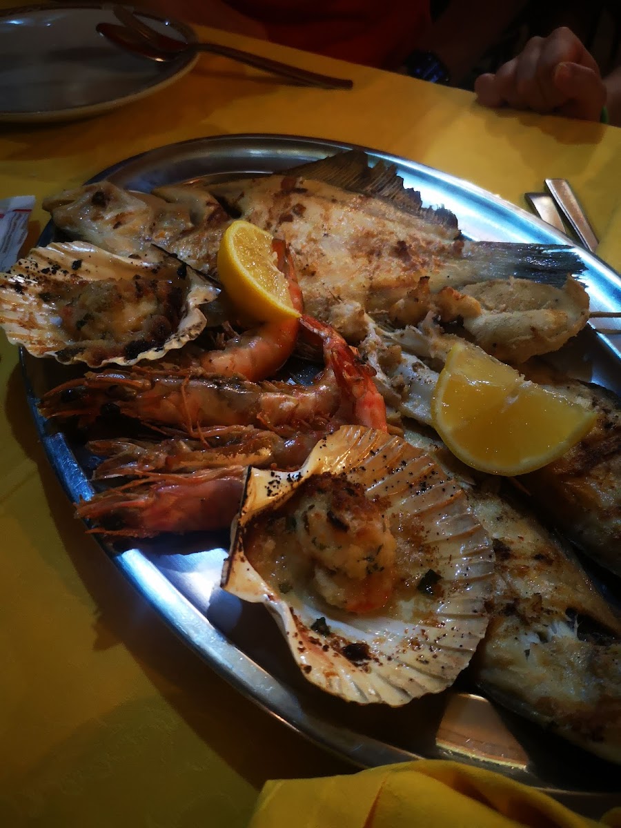 Il ragno Photo 10