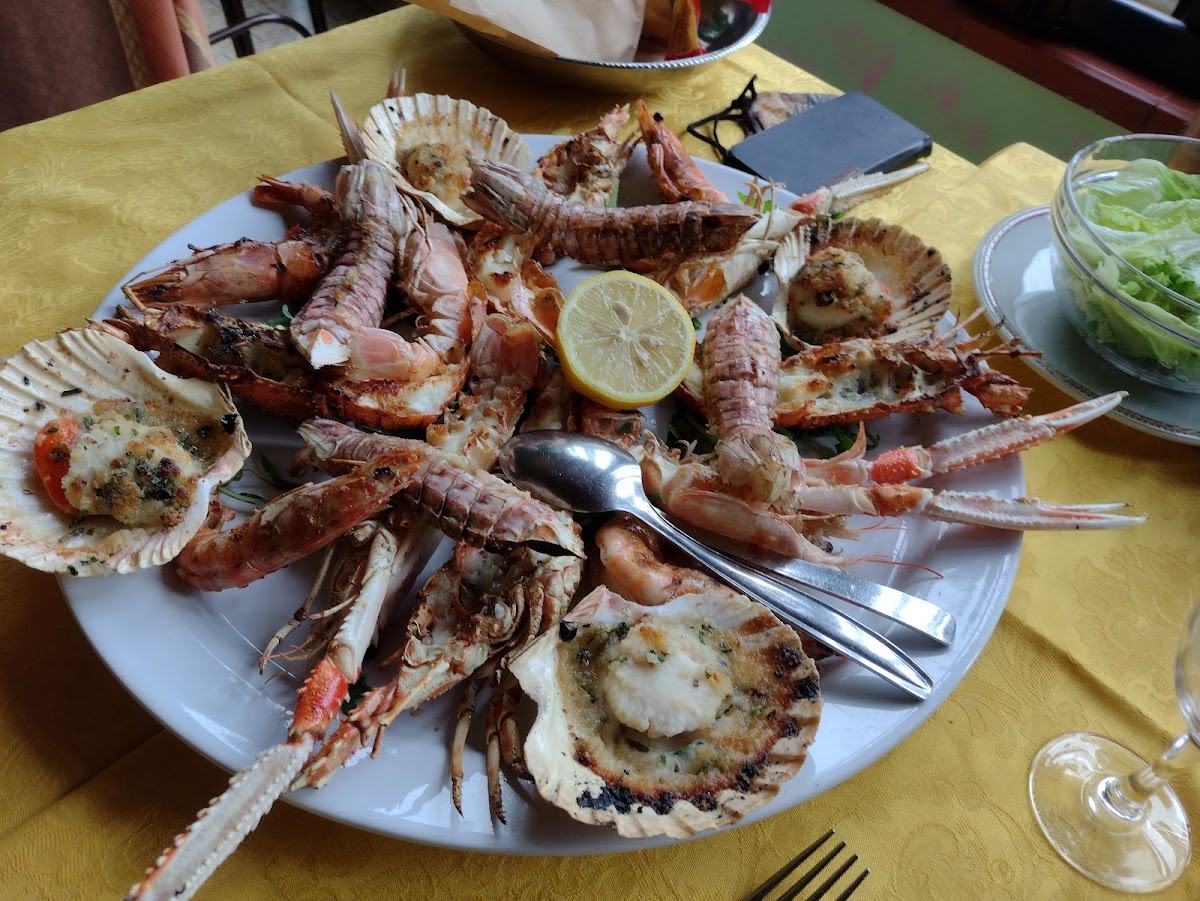 Il ragno Photo 3