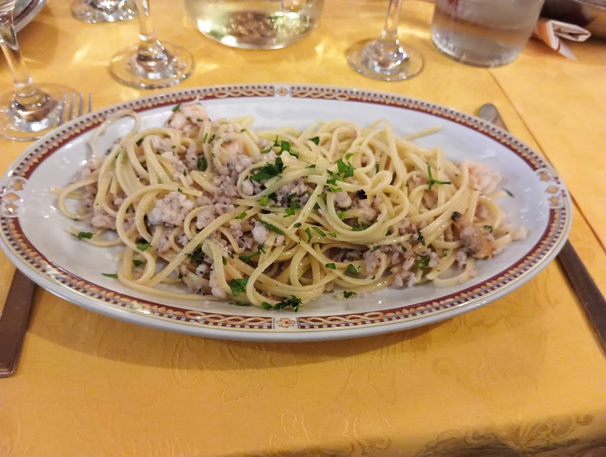 Il ragno Photo 4