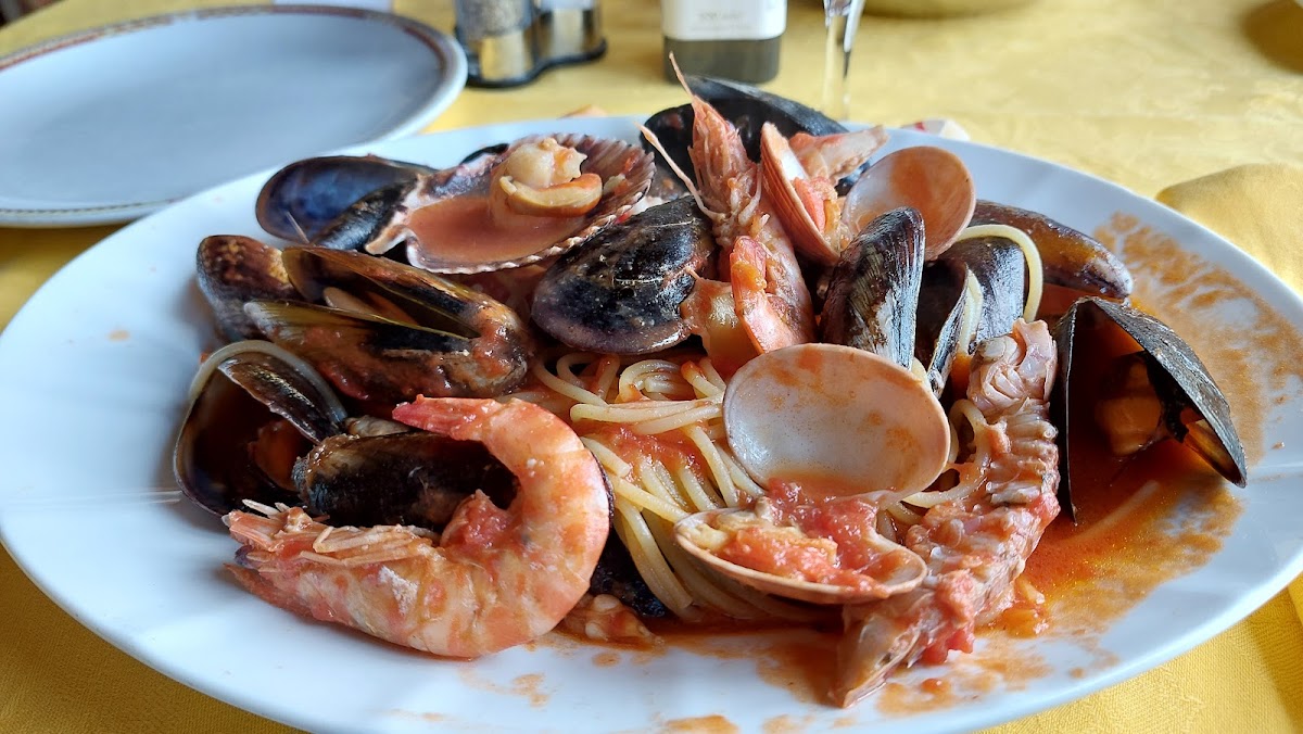 Il ragno Photo 6
