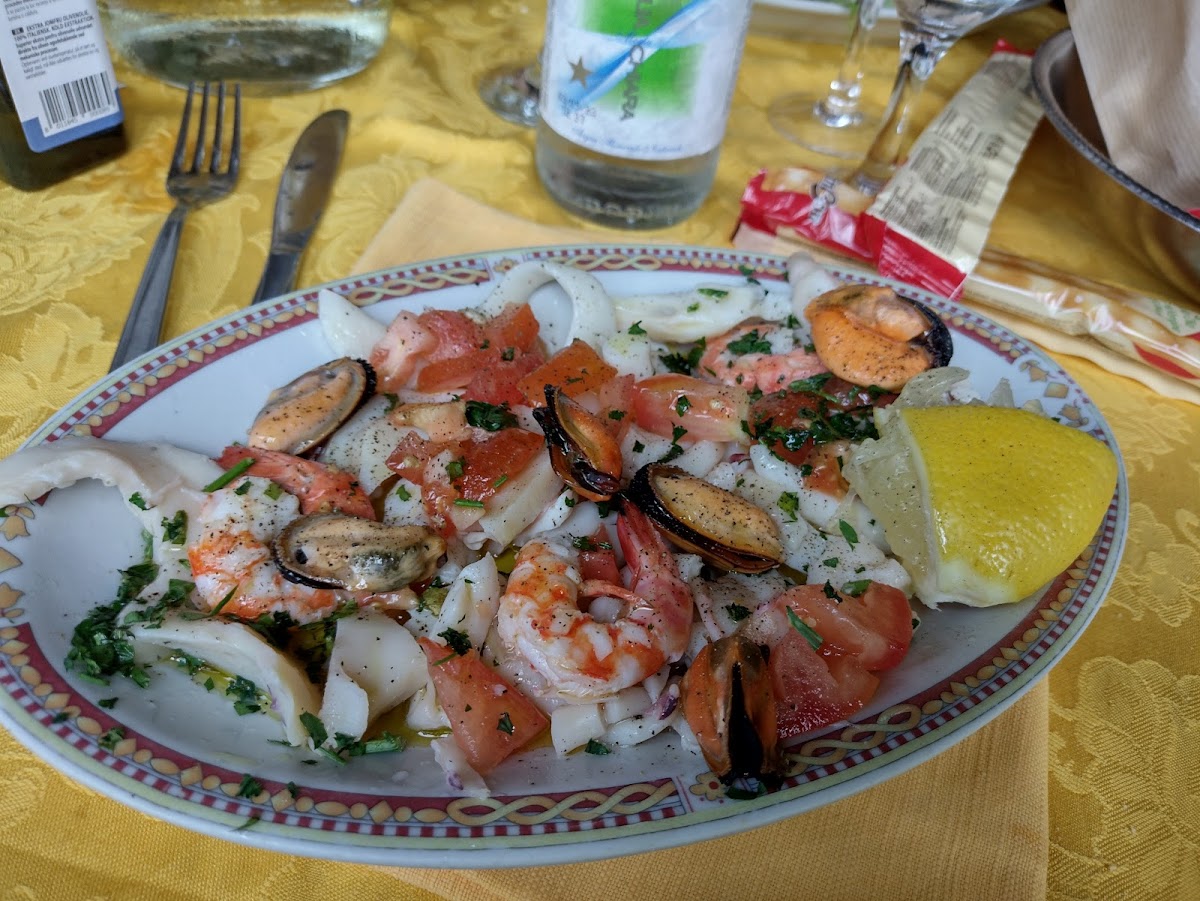 Il ragno Photo 9