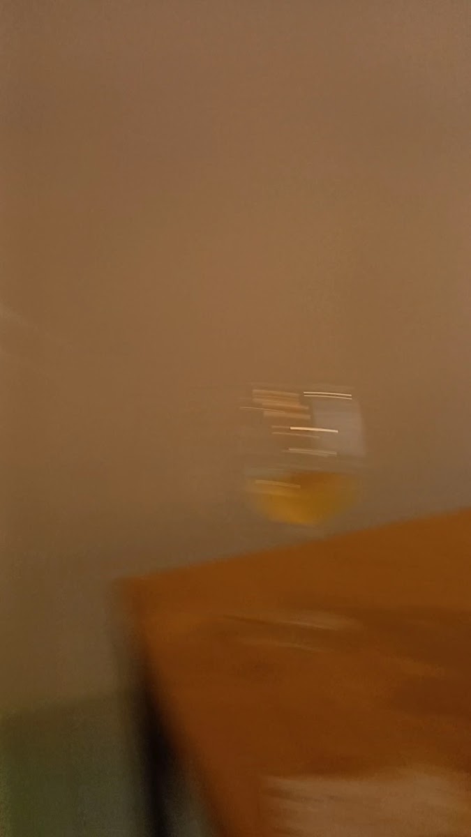 Ice cream Factory coffee Photo 2