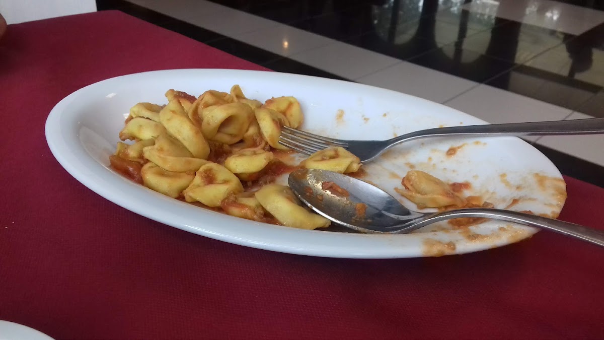 Ristorante Il Grillo Bianco 2 Photo 10
