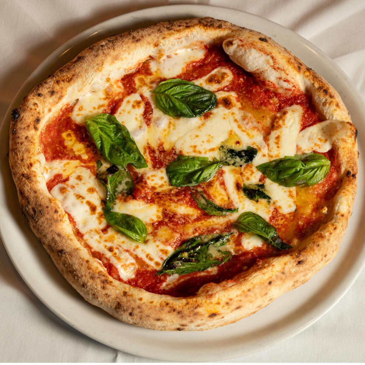 Cappo Pizzeria Photo 5