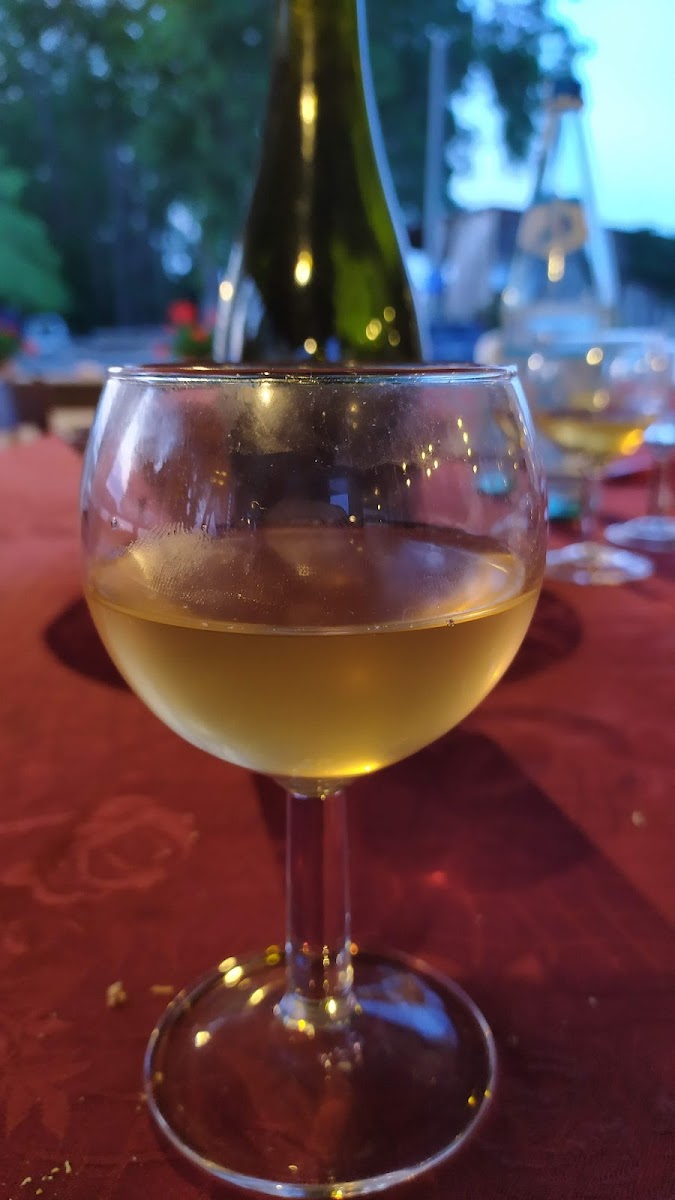 Trattoria Magaton sul Po Photo 6