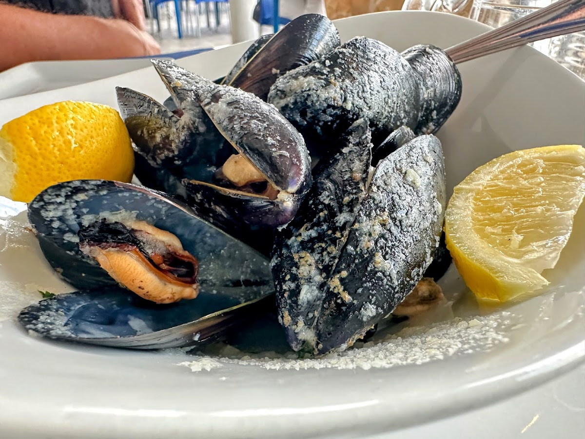 Trattoria Bellariva Photo 3