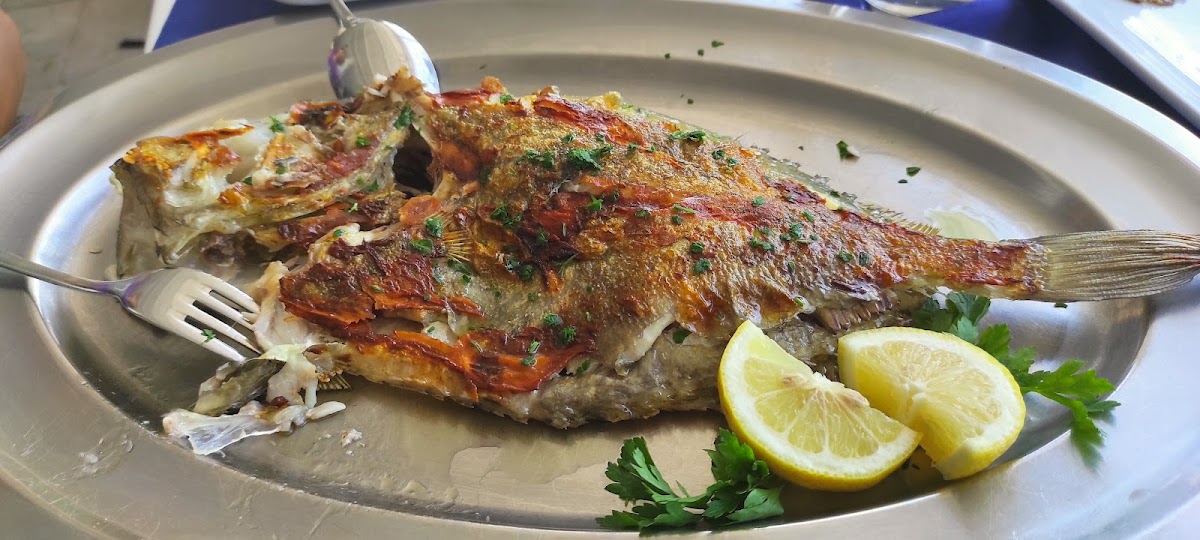Trattoria Bellariva Photo 6