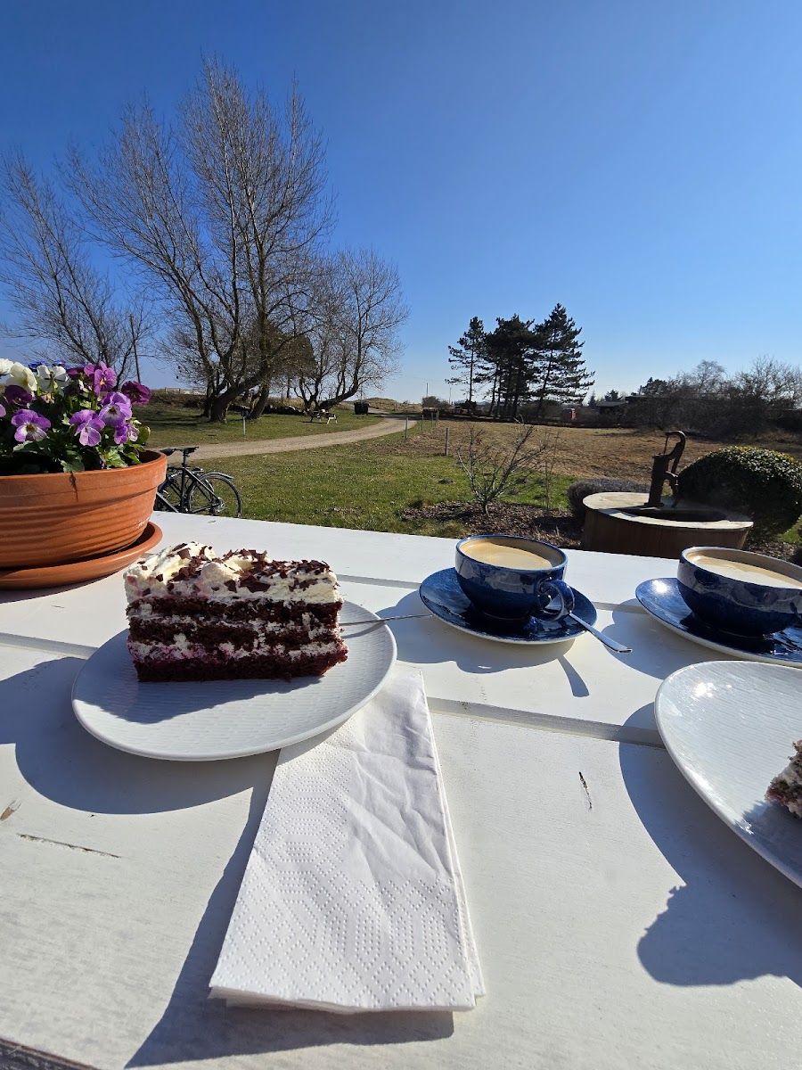 Strandcafe Kronsgaard 'Lieblingsplatz' Photo 3
