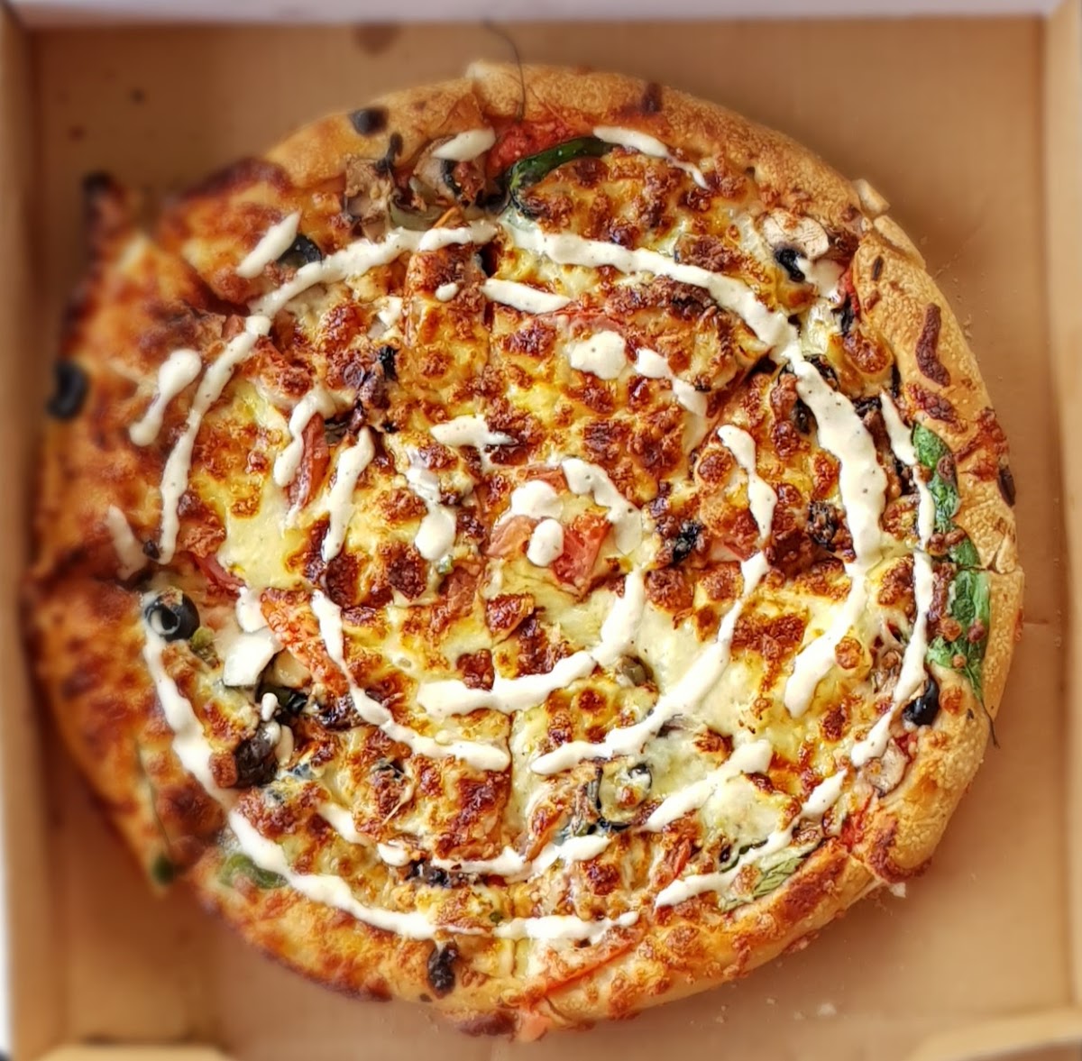 Mangawhai Pizzeria Photo 9