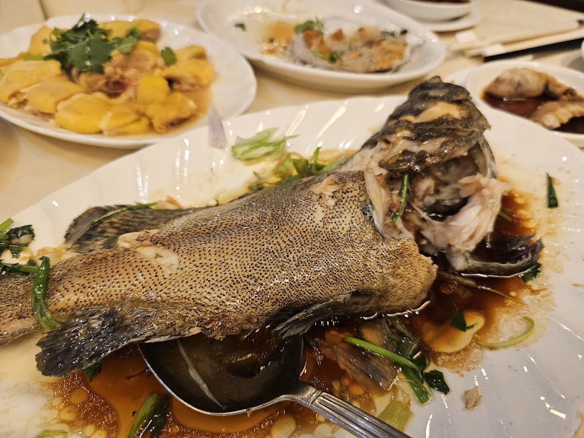 Mong Kok Seafood Photo 4