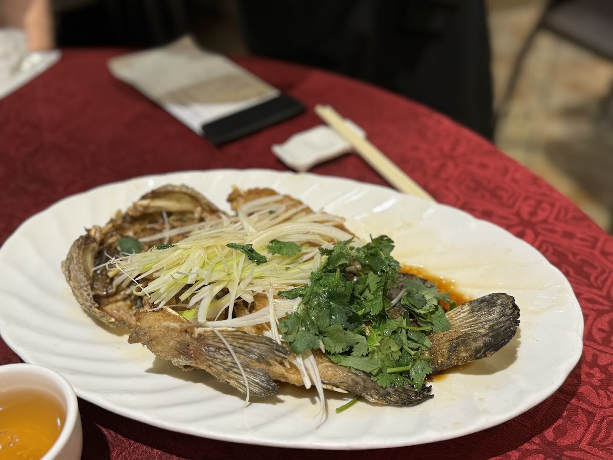 Mong Kok Seafood Photo 5