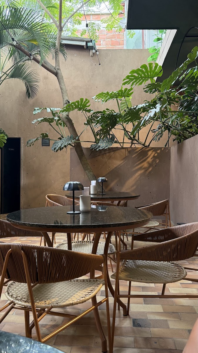 Botanico Bar Oficial