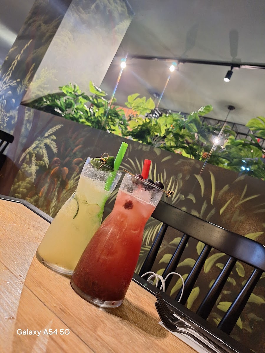 Botanico Bar Oficial Photo 4