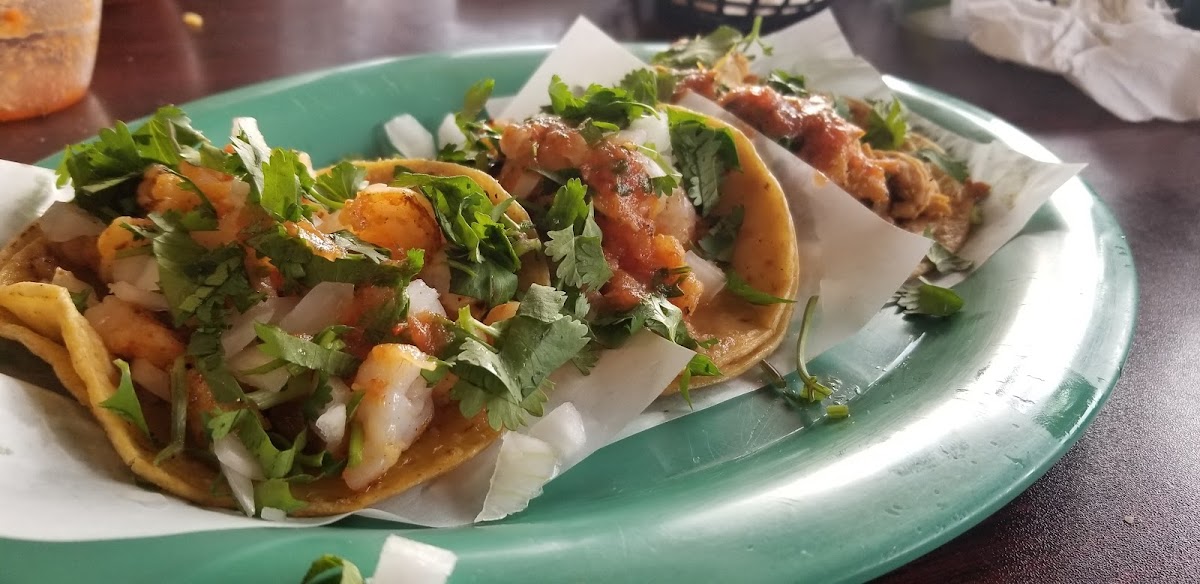 Taqueria El Torito Photo 10