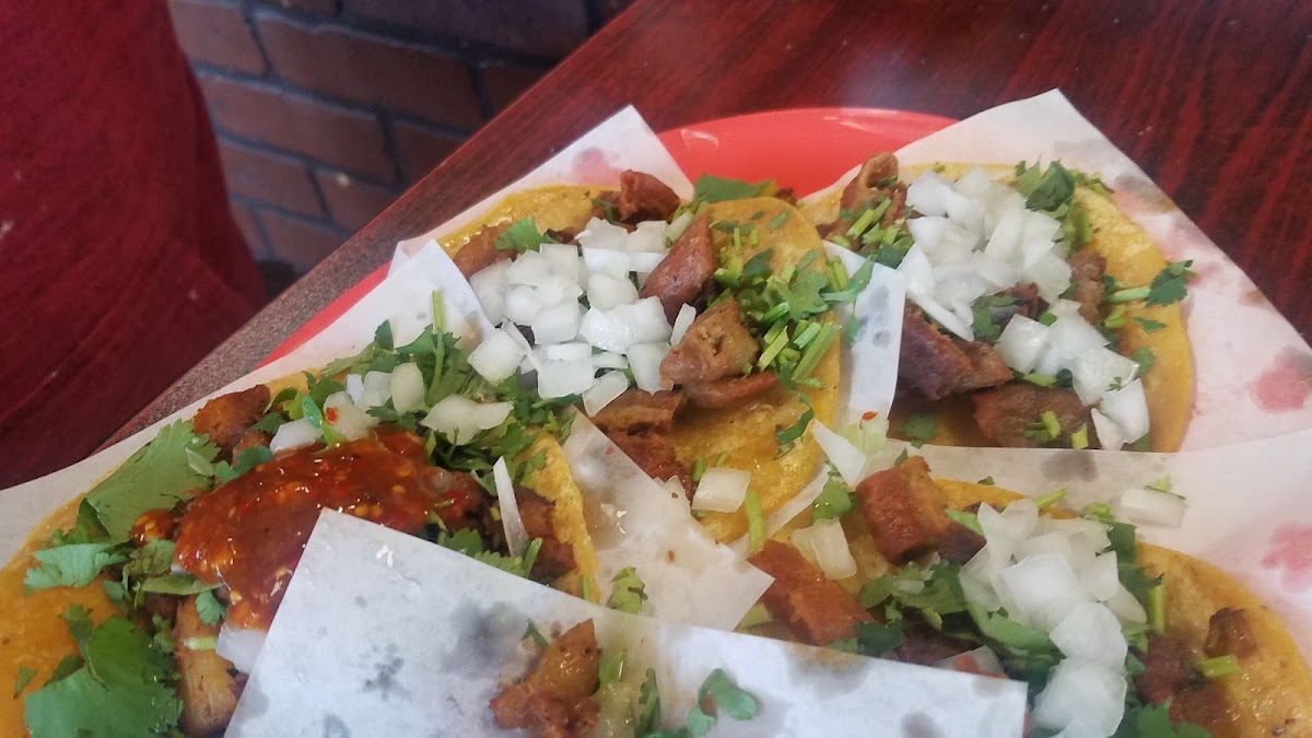 Taqueria El Torito Photo 9