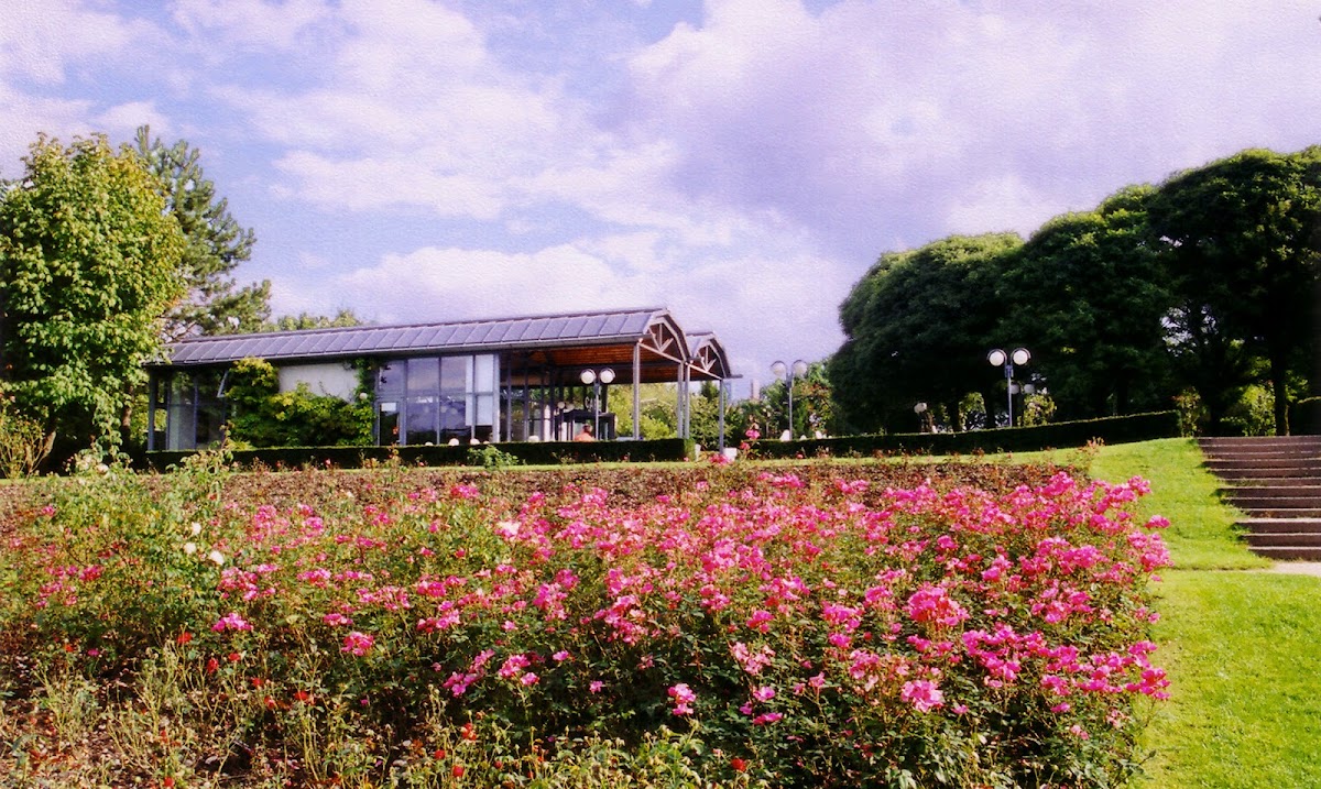 Restaurant Rosengarten Photo 4