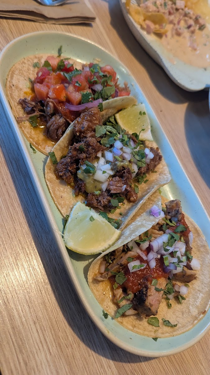 Fonda Mexican Canberra Photo 4