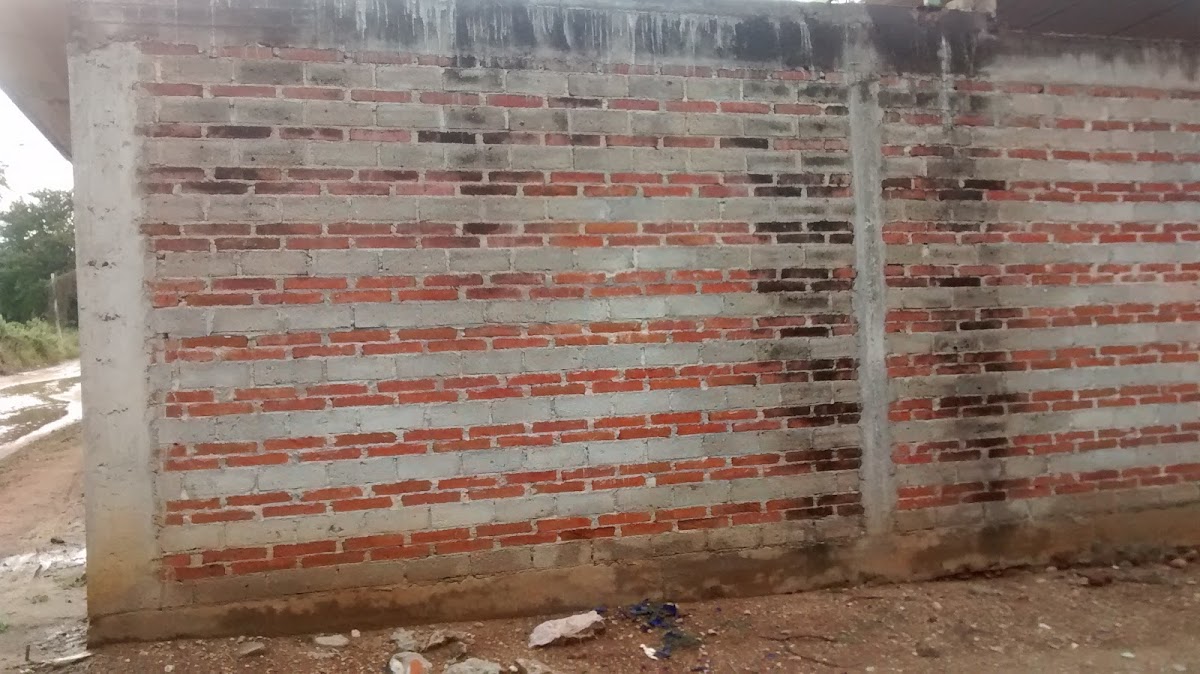 Hacienda Balvina Photo 3
