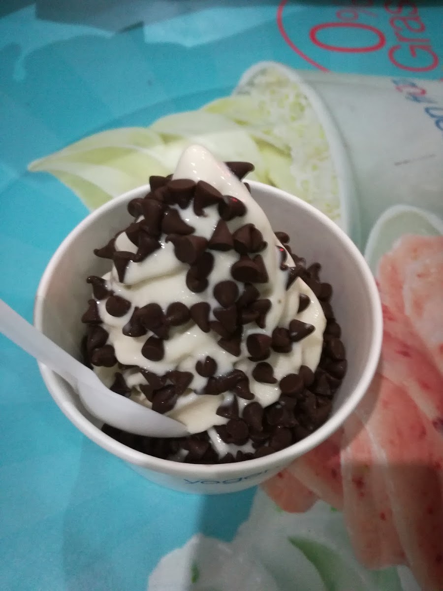 Yogen Früz Photo 5