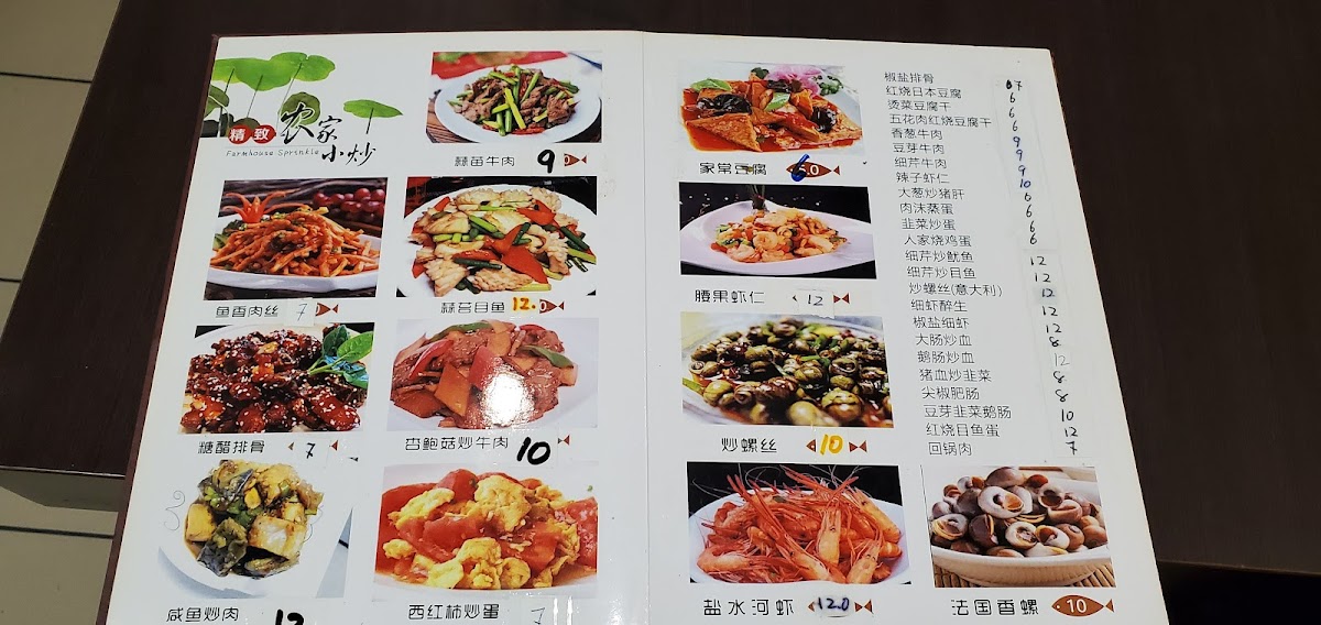Ristorante cinese Wu Mei Photo Menu 8