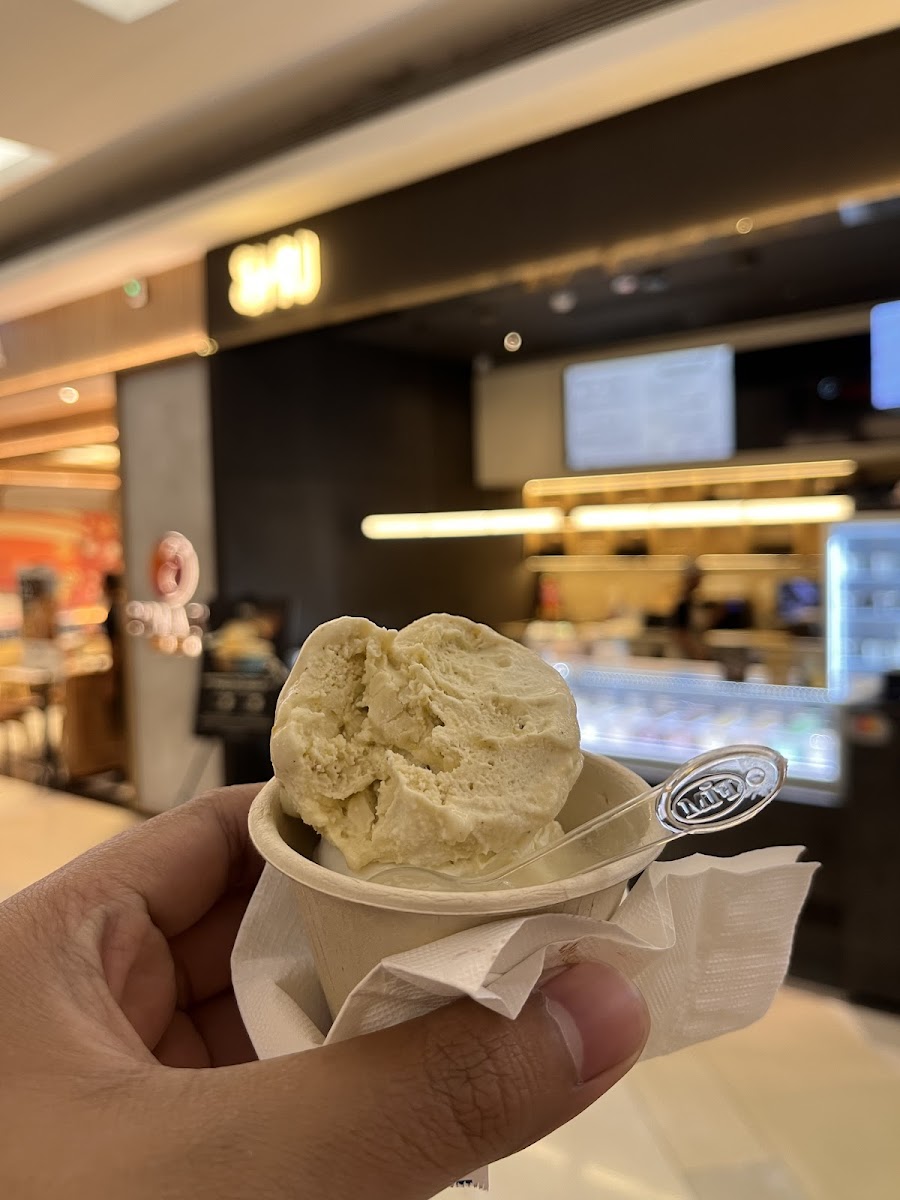 SHU Gelato Photo 10