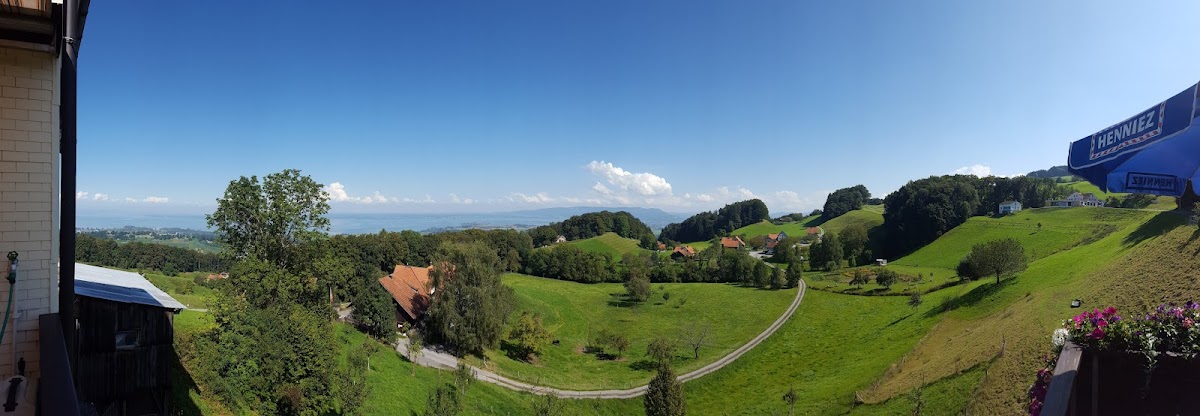 Wirtschaft zum Ochsen Photo 3