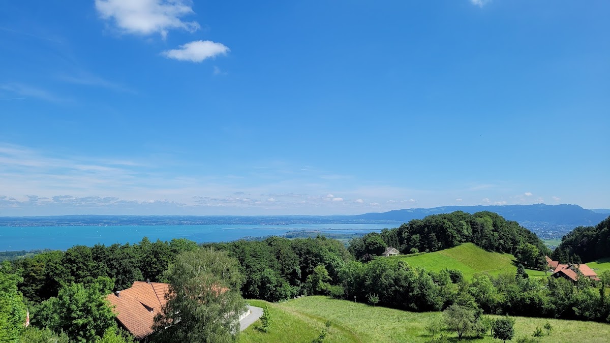 Wirtschaft zum Ochsen Photo 4